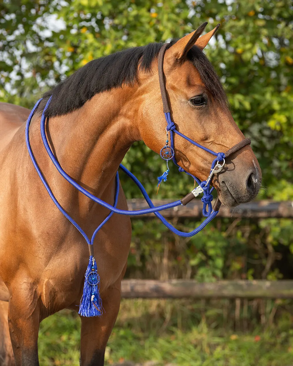 QHP Liberty Combi Rope Halter (Cob, Bright Red)