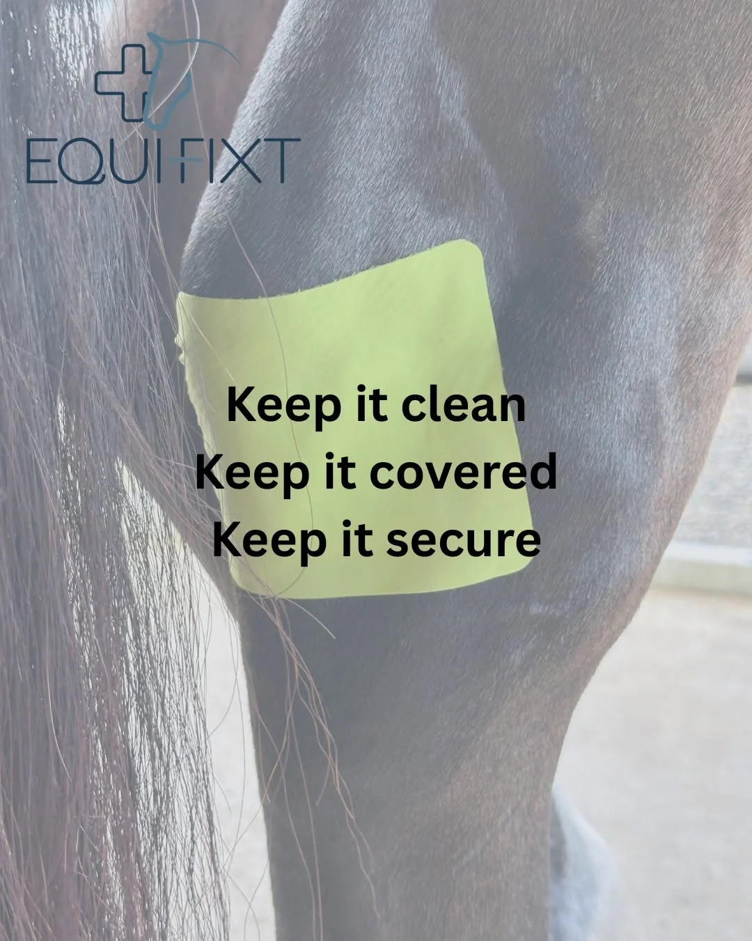 Equifix (Black)