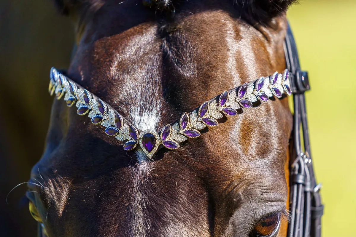 PMP Sport Clip on Swarovski Browband Athena - Purple