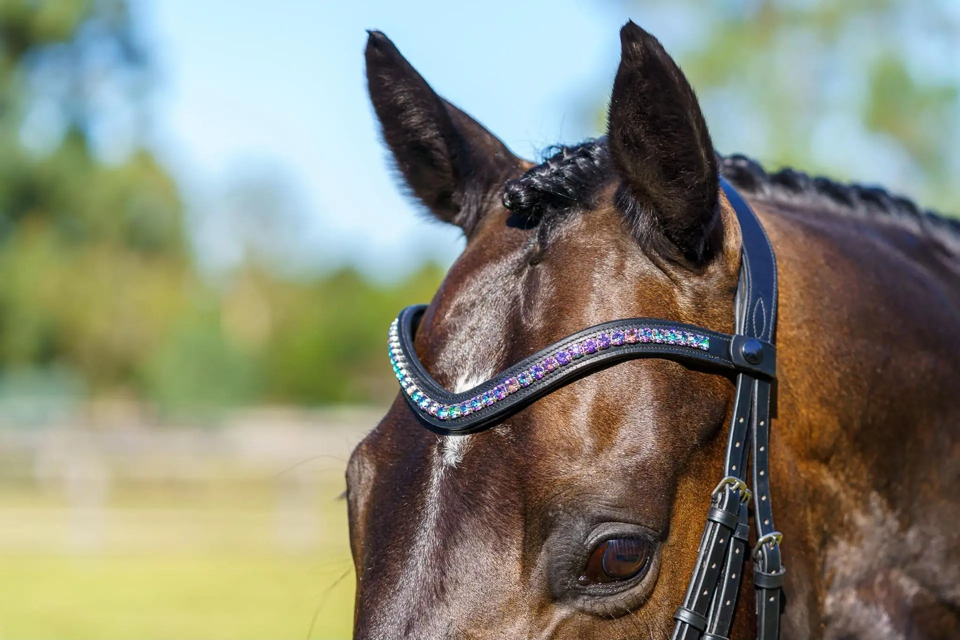 PMP Sport Clip on Swarovski Browband - Bermuda Blue