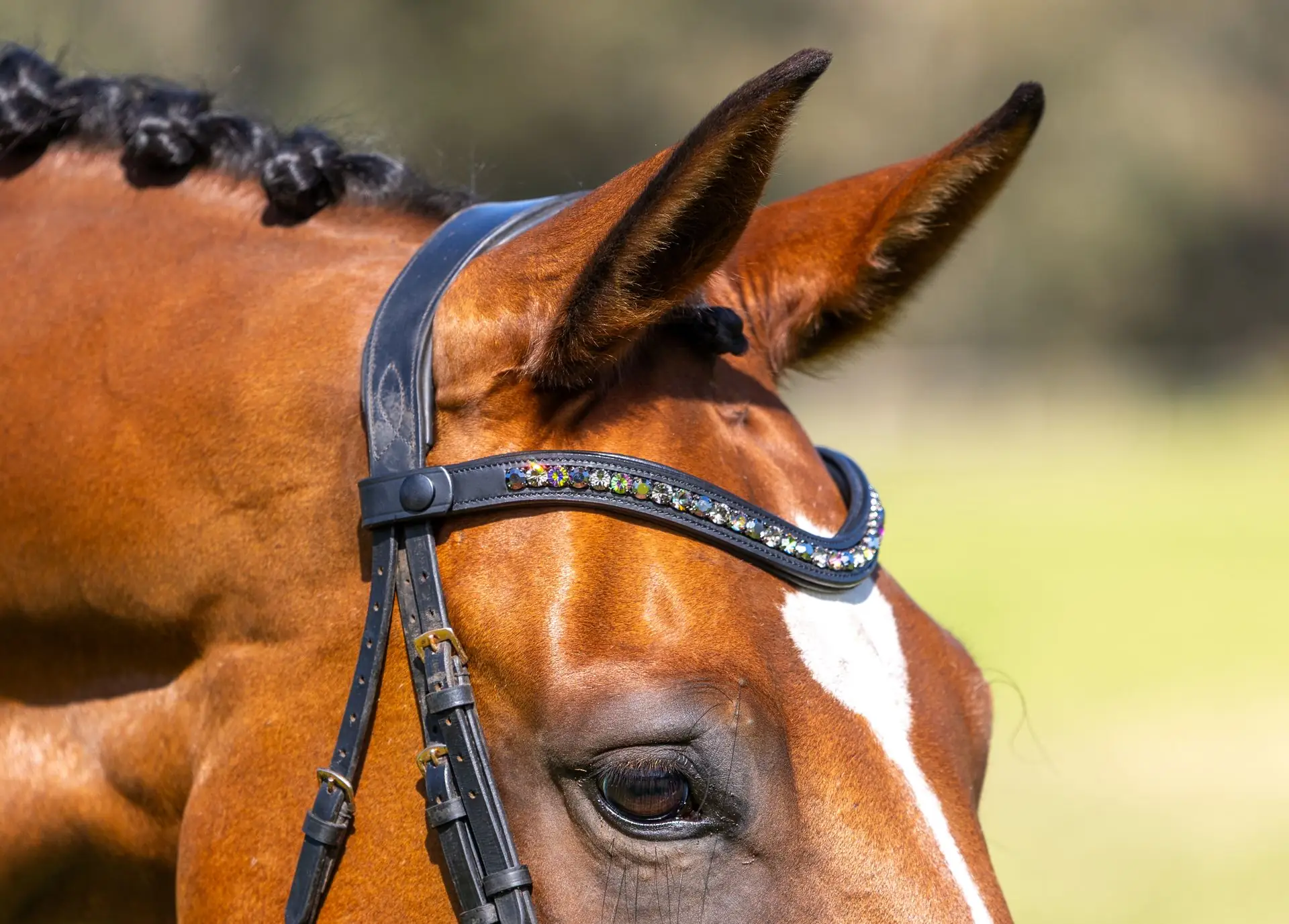 PMP Sport Clip on Swarovski Browband - Dark Rainbow