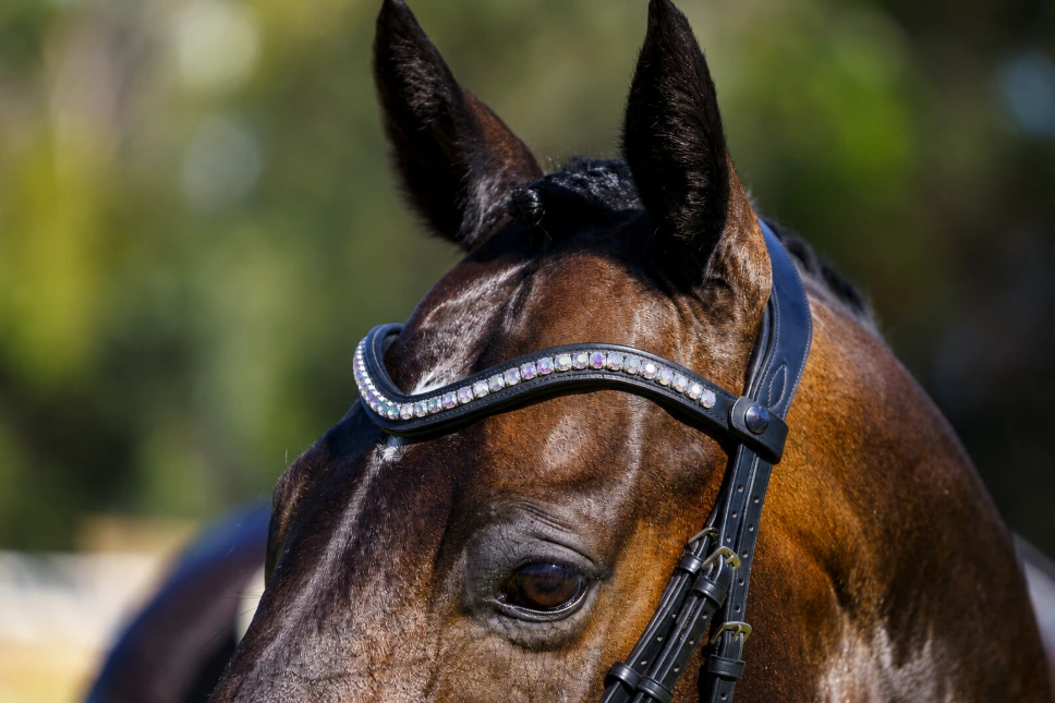 PMP Sport Clip on Swarovski Browband - Iridescent and Clear