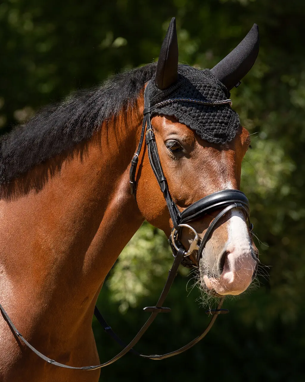 QHP Flore Sound Proof Ear Bonnet (Black, Cob)