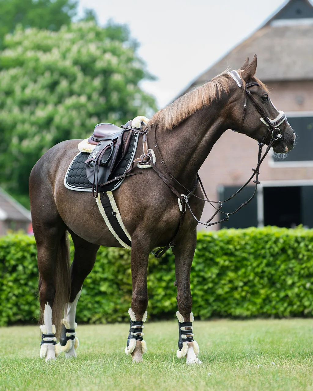 QHP Ontario Breastplate