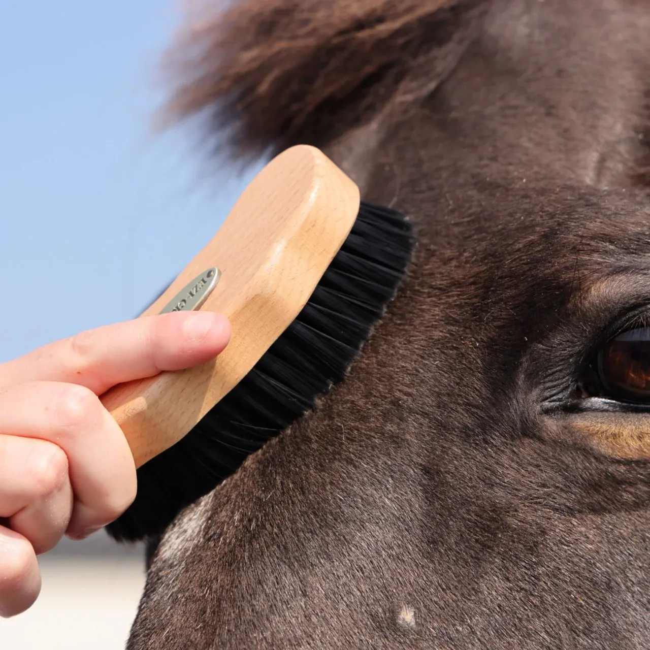 Ezi-Groom Premium Face Brush