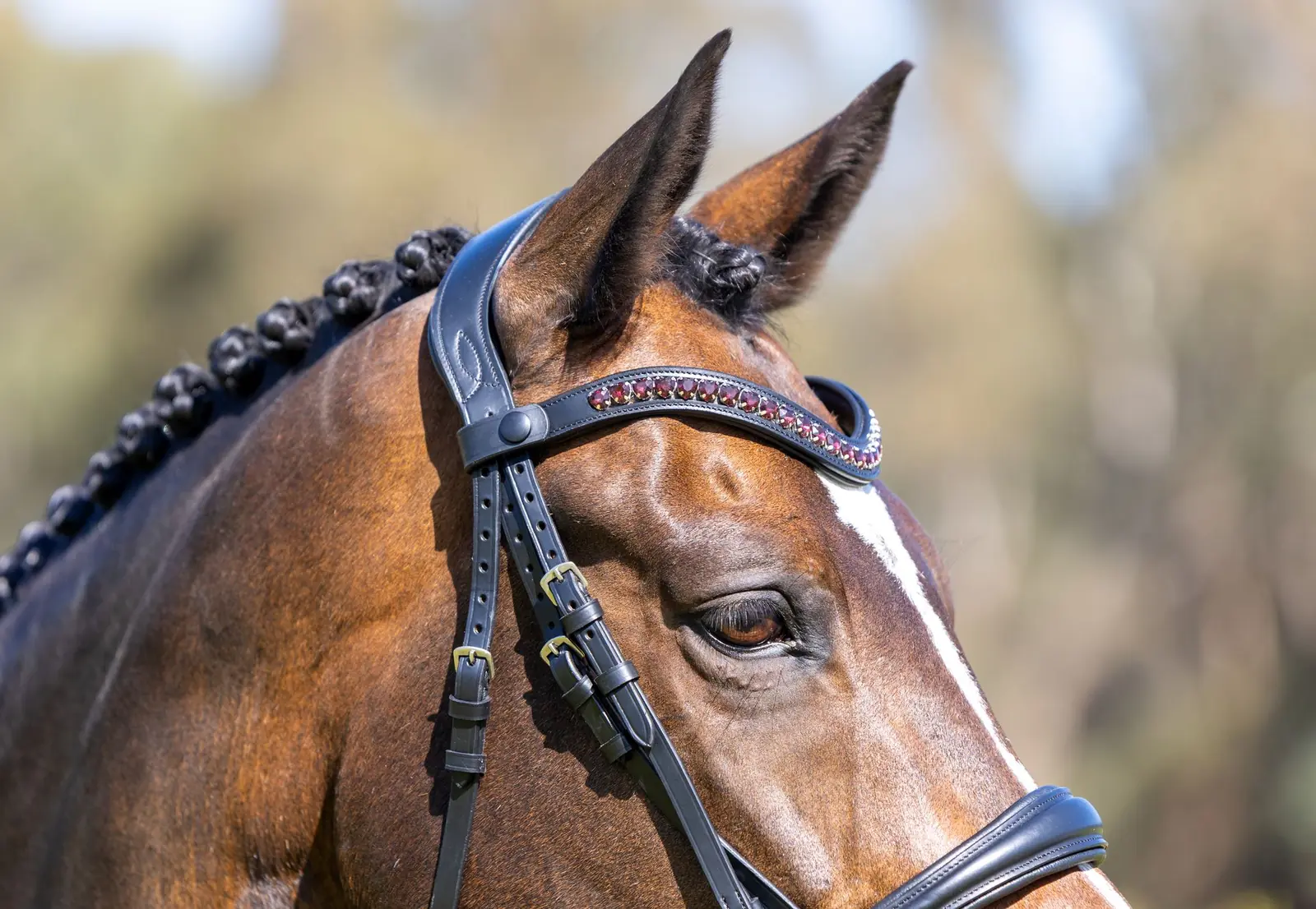 PMP Sport Clip on Swarovski Browband Hearts - Grape Purple (Black Leather, Cob)