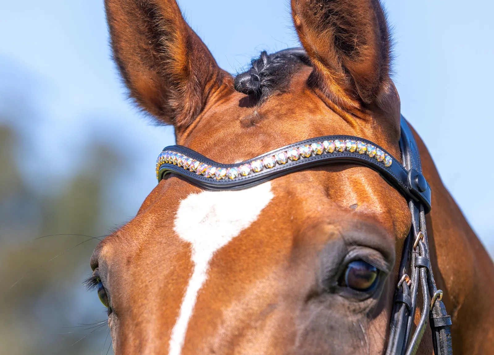 PMP Sport Clip on Swarovski Browband Hearts - Iridescent (Black Leather, Cob)