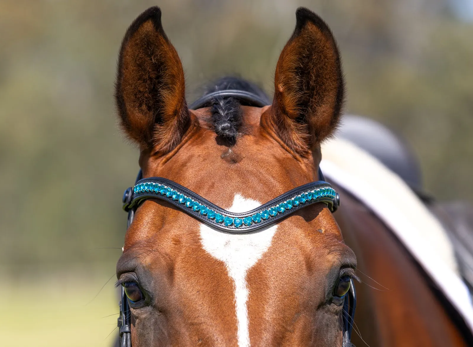PMP Sport Clip on Swarovski Browband Hearts - Turquoise Blue