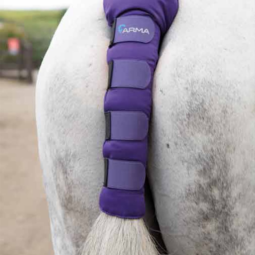 ARMA Padded Tail Guard