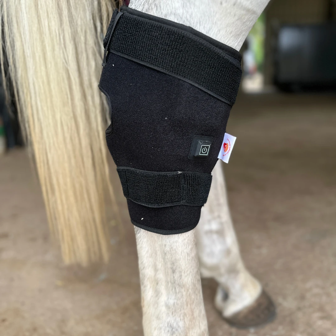 ETP Multi Radiance Red Light and Blue Light Therapy Hock Boots