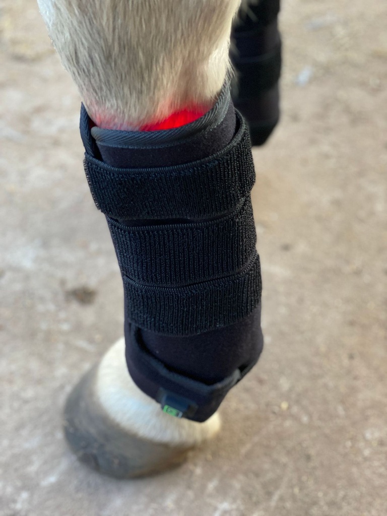 Multi Radiance Red Light and Blue Light Therapy Tendon Boots Pair