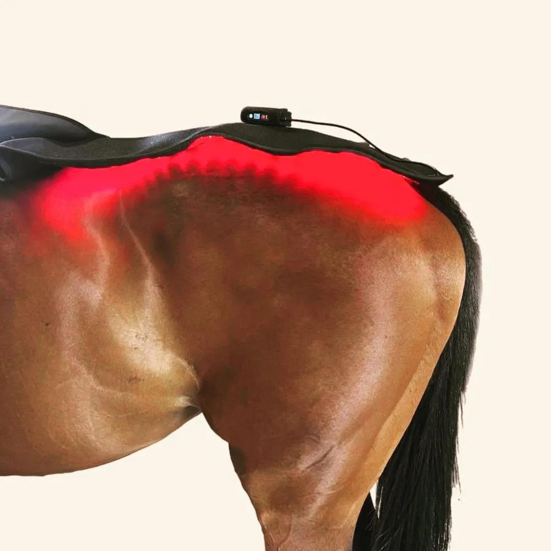 Large Red Light Therapad