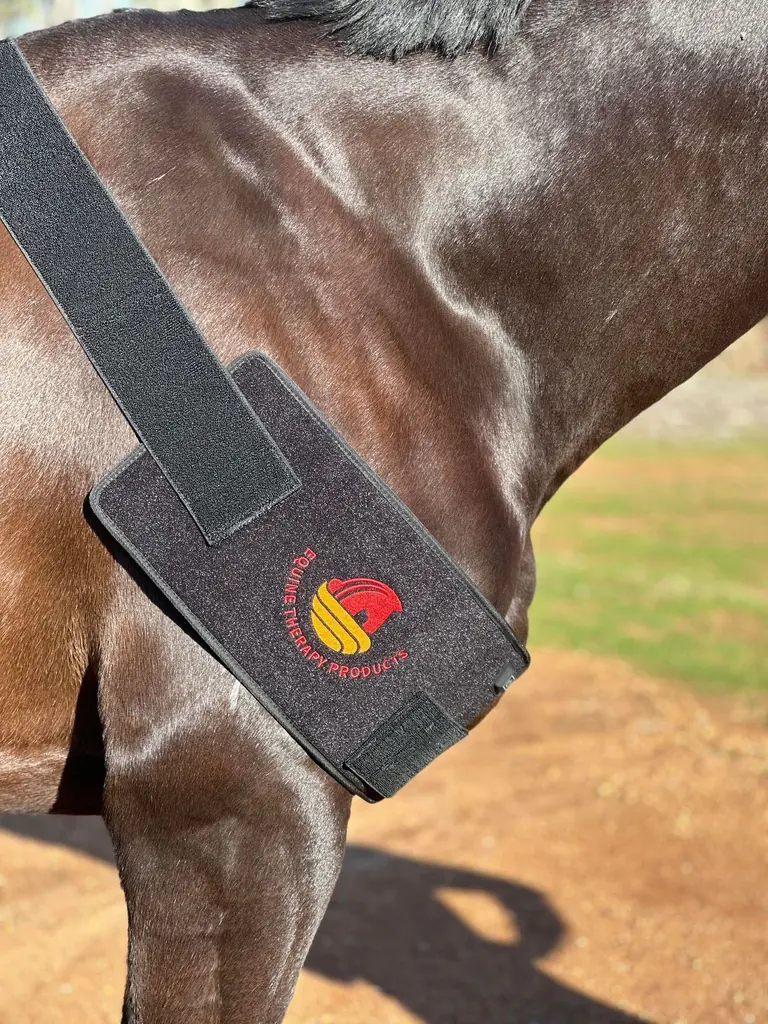 Universal Red Light Pad