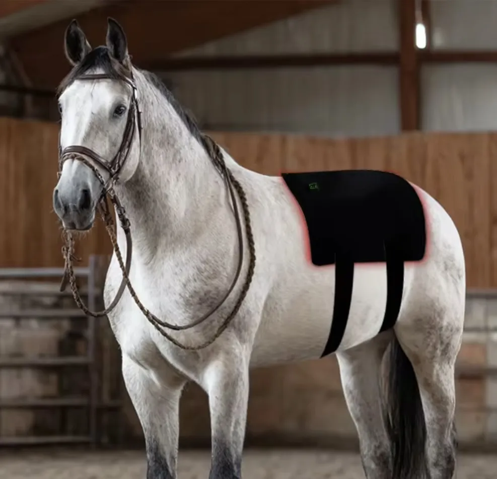 Super Universal Red Light and Blue Light Therapy Pad