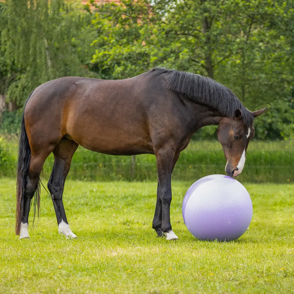 Horse Soccer Ball 75cm - Blue