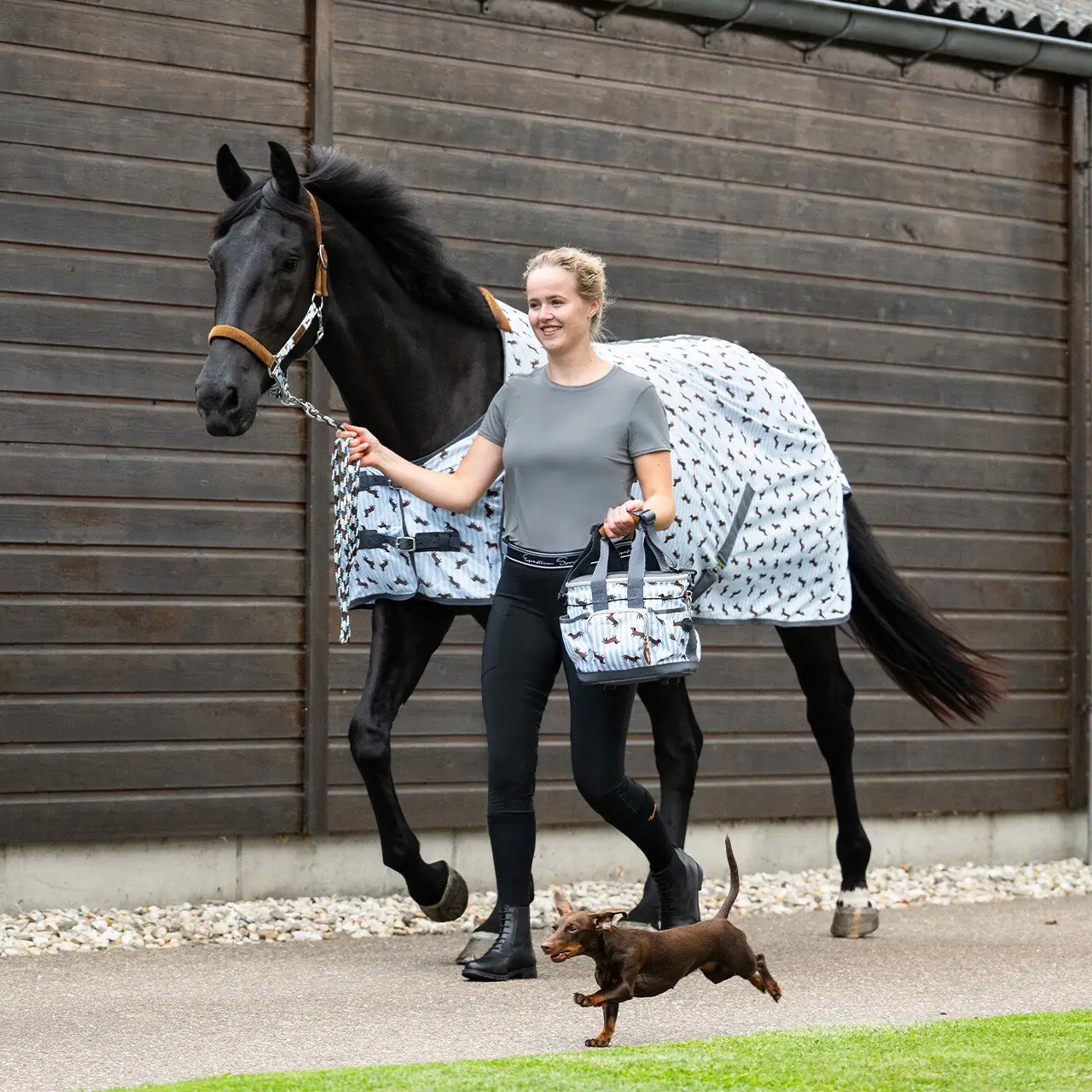 QHP Stable Buddy Fly Sheet