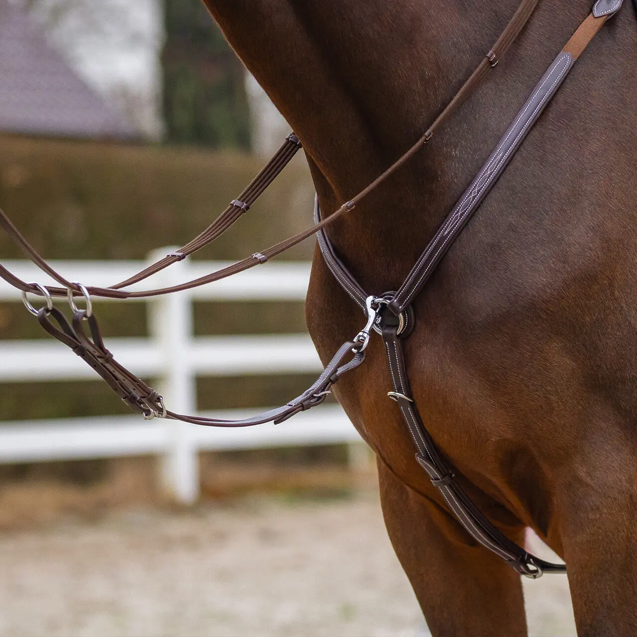 QHP Luxury Martingale Breastplate