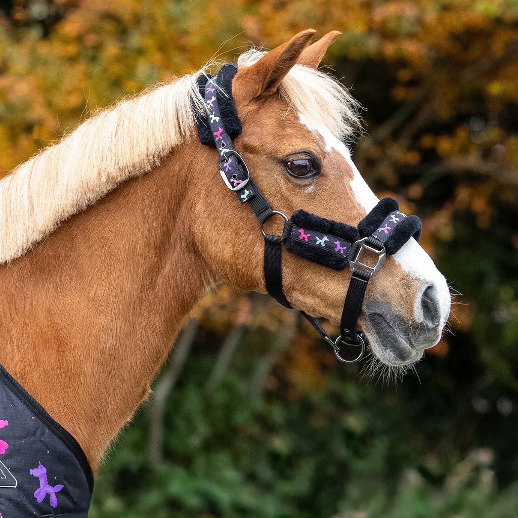 [1226 UNDR 7] QHP Isalyn Head Collar Set - Unicorn Dream (Mini Shetland)