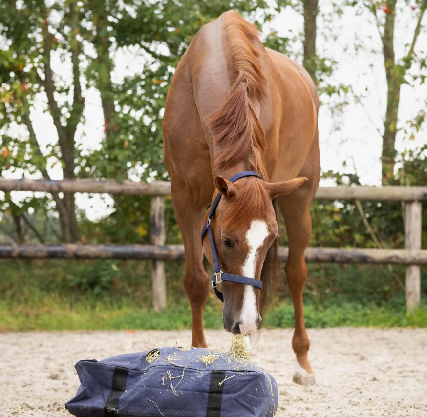 QHP Collection Hay Cushion