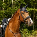 QHP Glitter Bridle - Black