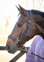 Harry's Horse Headcollar and Lead EQS